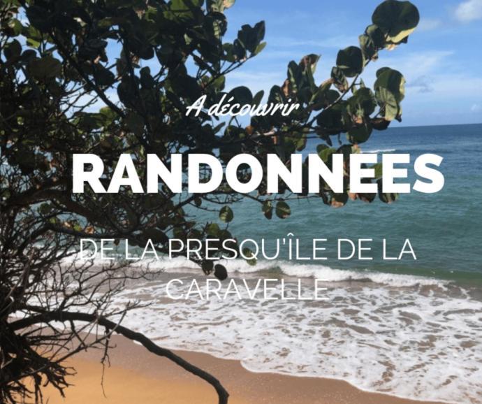 Ananas Premium - Sejour Detente T2 Vue Mer Avec Balcon Prive A Tartane Trinité  Extérieur photo